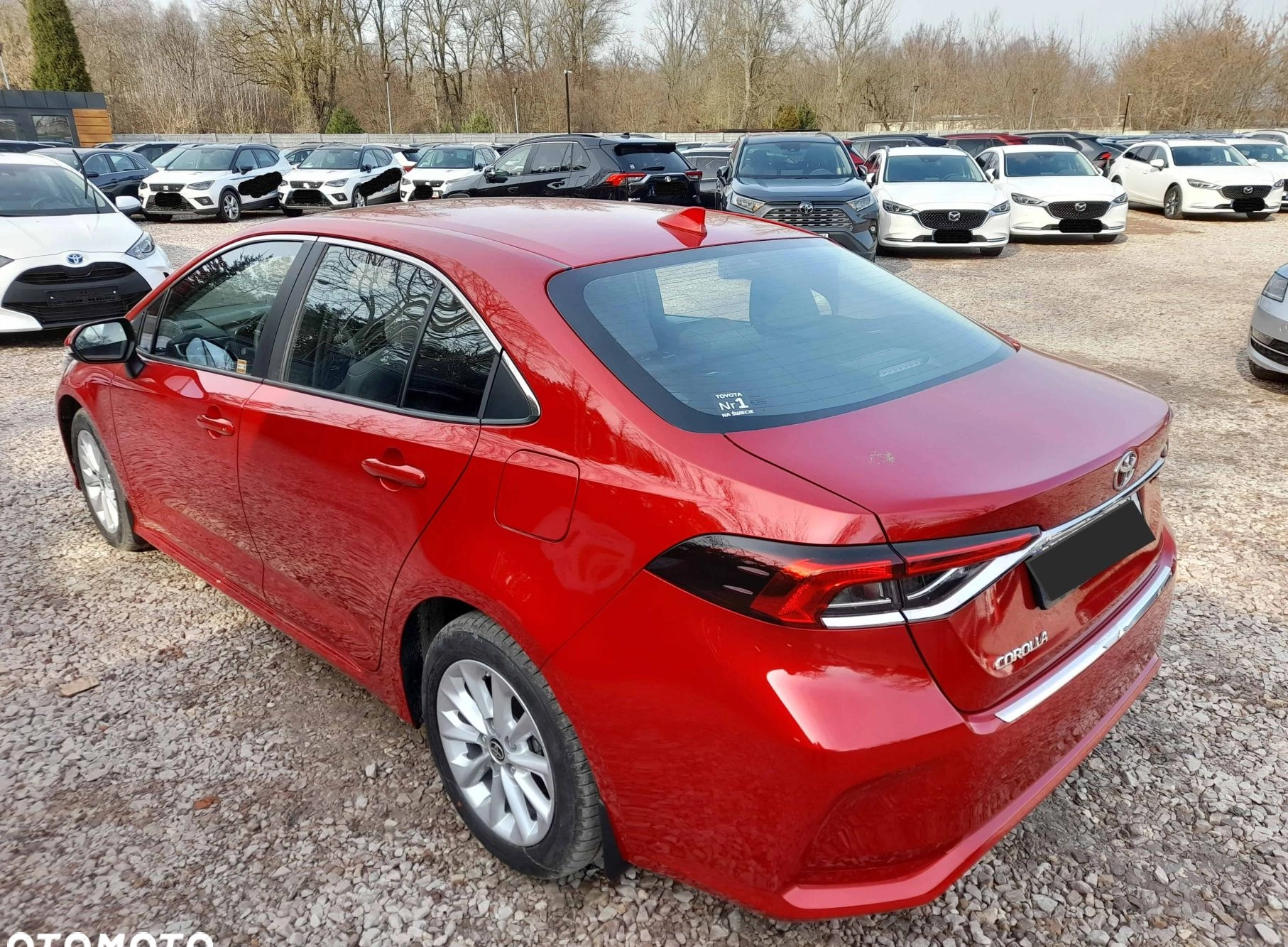 Toyota Corolla cena 125355 przebieg: 1, rok produkcji 2024 z Prochowice małe 37